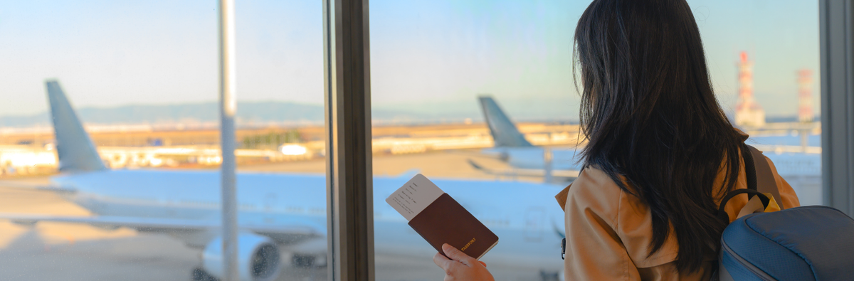 consultazioni su viaggi di studio