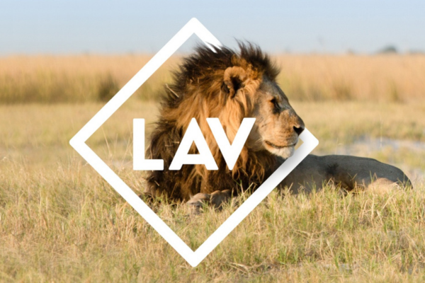 Eligo evoting per LAV
